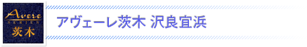 アヴェーレ茨木 沢良宜浜